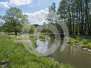 Idyllic landscape of winding river stream meander at lush green meadow with deciduous tree forest, blue sky backgound
