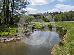 Idyllic landscape of winding river stream meander at lush green meadow with deciduous tree forest, blue sky backgound