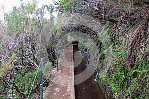 Rabacal - Idyllic Levada walk in ancient subtropical Laurissilva forest of Rabacal, Madeira island, Portugal, Europe photo