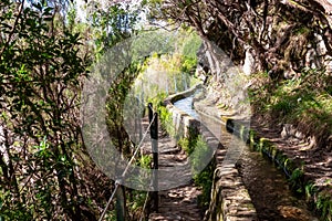 Rabacal - Idyllic Levada walk in ancient subtropical Laurissilva forest of Rabacal, Madeira island, Portugal, Europe photo