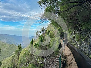 Rabacal - Idyllic Levada walk in ancient subtropical Laurissilva forest of Rabacal, Madeira island, Portugal, Europe photo