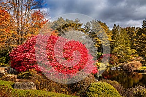 Idyllic liitle pond with colorful changing leaves in fall, New England