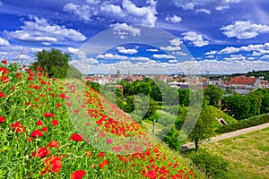 Idyllic meadow in city centre of Gdansk