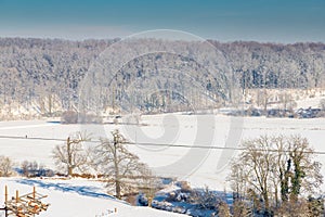 An idyllic midwinter scene in the Dutch forests in the rolling hills landscape in the south of Limburg