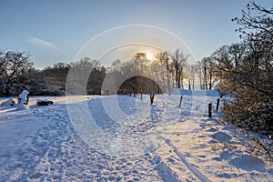 An idyllic midwinter scene in the Dutch forests in the rolling hills landscape in the south of Limburg