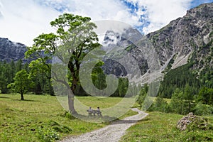 Idyllic mountain landscape in summer near Gramaialm, Austria,