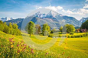 Idyllic mountain scenery in the Alps with blooming meadows in springtime