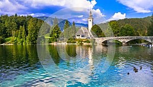 Idyllic nature scenery - Wonderful lake Bohinj in Slovenia, Triglav National Park