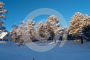 Idyllic panoramic cold winter view in the arctics with lot of snow and blue sky.