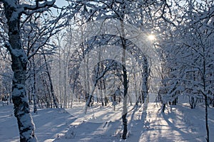 Idyllic panoramic cold winter view in the arctics with lot of snow and blue sky.