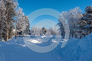 Idyllic panoramic cold winter view in the arctics with lot of snow and blue sky.