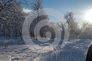 Idyllic panoramic cold winter view in the arctics with lot of snow and blue sky.