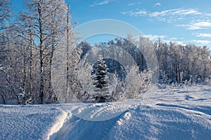 Idilliaco panoramico da bellissimo bianco Paese delle meraviglie scenario scenico d'oro la luce sul 