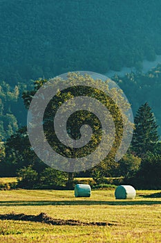 Idyllic picturesque farm meadow with rolled forage bales of mowed grass wrapped in plastic in summer afternoon, detail from Bohinj photo
