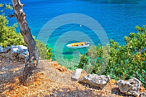 Idyllic pine tree beach in Croatia