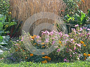 Idyllic planted roundabout island