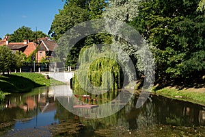 Idyllic pond