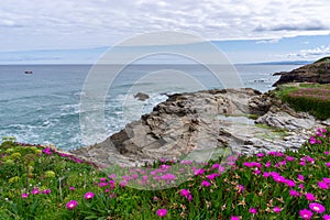Idyllic rocky cove with blossoming flowers on the coast of Galicia with tidal pools in the foreground photo