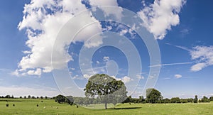 Idyllic rural farmland, Cotswolds UK