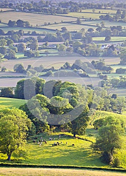 Idyllic rural farmland, Cotswolds UK