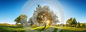 Idyllic rural landscape with clear blue sky