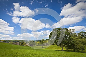 Idyllic rural landscape, Cotswolds UK