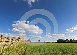 Idyllic rural landscape, Cotswolds UK