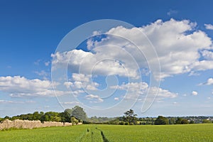 Idyllic rural landscape, Cotswolds UK