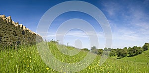 Idyllic rural landscape, Cotswolds UK