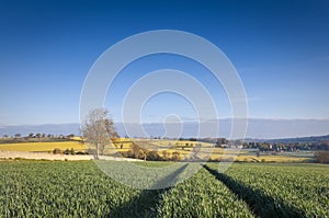 Idyllic rural landscape, Cotswolds UK