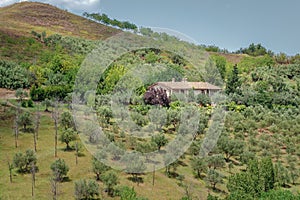 Idyllic rural landscape with cozy traditional farm house in Italian Abruzzo