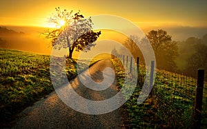 Idyllic rural landscape in golden light