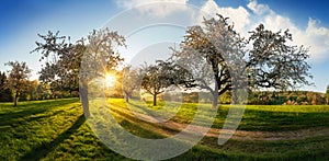 Idyllic rural landscape with the rising sun