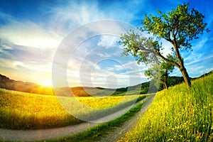 Idyllic rural landscape at sunset