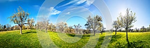 Idyllic rural panorama on a sunny day