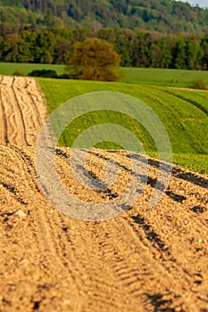 Idyllic rural view of beautiful farmland in the beautiful surroundings of the Iron Mountains