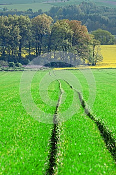 Idyllic rural view of beautiful farmland in the beautiful surroundings of the Iron Mountains