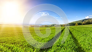 Idyllic rural view of beautiful farmland in the beautiful surroundings of the Iron Mountains