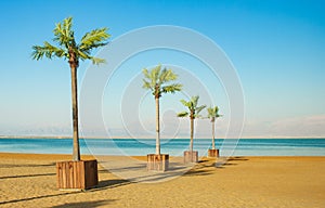 Idyllic sand palm beach in Israel Mediterranean sea scenery landscape beautiful destination for summer vacation time spending,