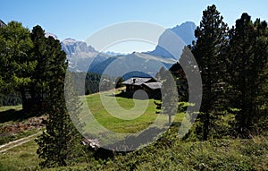 Idyllic scene on Mastle Alp in South Tyrol