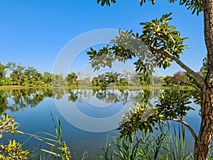 Idyllic scene over a mirror smooth lake under a blue sky.