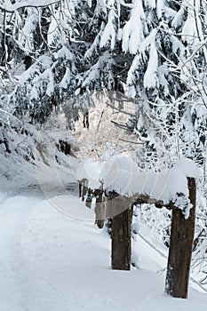 Idyllic scene of snow covered country road and old wooden fence in the forest