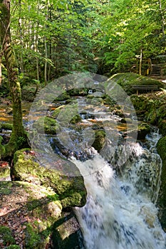 Idyllic scenery: Beautiful Waterfall cascades in Ysperklamm in Lower Austria. Waldviertel. Nature and Holiday concept.