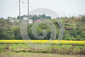 Idyllic scenery of riverside plain in spring