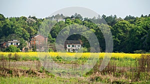 Idyllic scenery of riverside plain in spring