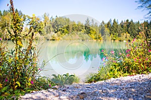 Idyllic shore landscape with pebble beach, blue water, flowers and wood