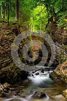 Idyllic small mountain stream in a deep ad narrow gorge in lush green springtime forest photo