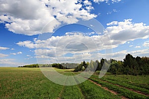 Idyllic spring landscape