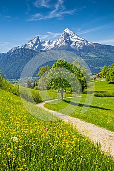 Idyllic spring landscape in the Alps with meadows and flowers