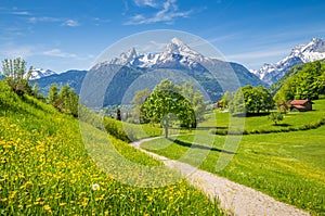 Idyllic spring landscape in the Alps with meadows and flowers